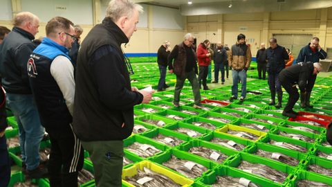 Cajas de merluza de volanta expuestas en la lonja de Celeiro el 5 de marzo del 2026.