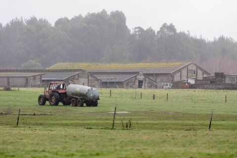 Imagen de una explotaci�n en la parroquia de Santa Locaia (Guitiriz)