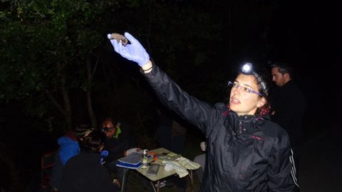 Ledicia Santos Fern�ndez cun morcego durante unha xornada de observaci�n destes animais no municipio de Silleda