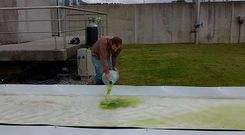 Un operario vierte microalgas en la planta de Tui para depurar una balsa que contiene aguas residuales.