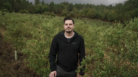 Rodrguez Udas, en su plantacin de olivos, situada en los montes comunales de Osmo.