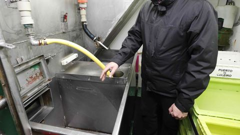 Aqu, con agua y presin y todo el esmero posible se eviscera cada una de las merluzas antes de meterlas en cajas con hielo en escamas y almacenarlas en la bodega refrigerada