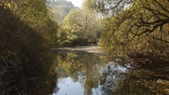 El r�o Mi�o, este mi�rcoles, a su paso por Reza, en Ourense