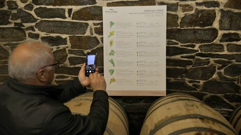Uno de los visitantes fotograf�a un panel sobre las vides gallegas