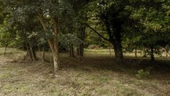 Imagen de una de las parcelas recuperadas en la aldea modelo de Trelle