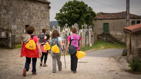 Un grupo de peregrinas a su paso por el Camino de Santiago