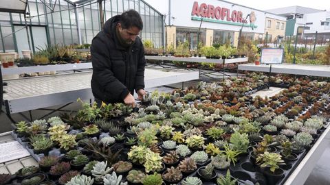 En sus instalaciones venden casi cauqluier tipo de plantas: desde cactus hasta �rboles frutales.