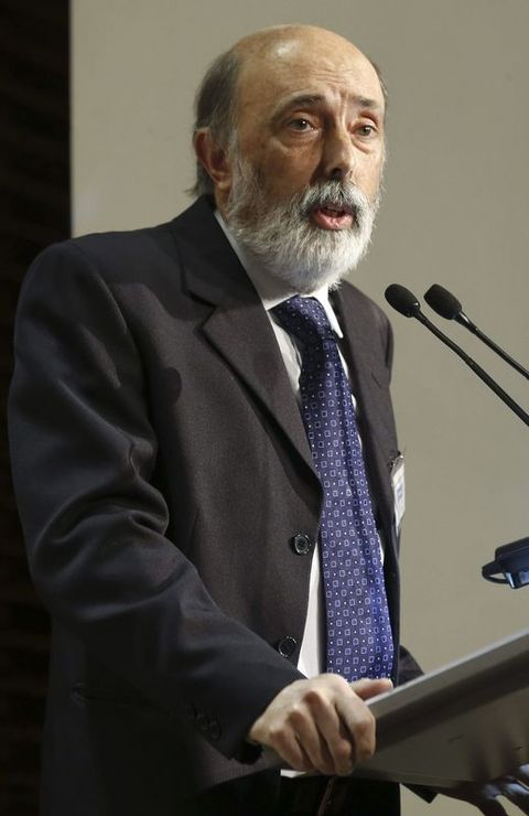 El director del Proyecto de Investigaci�n sobre el lugar de enterramiento de Miguel de Cervantes, Francisco Etxebarria.