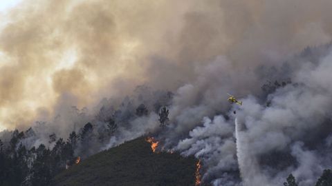 Vista del incendio forestal en la localidad asturiana de Pe�aflor (Grado)
