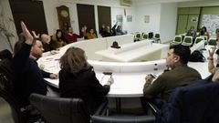 Cajoto, a la izquierda, y Casti�eira, a la derecha, en una sesi�n plenaria