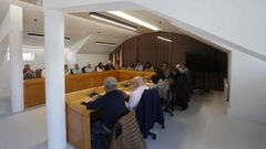 Un momento de la sesi�n plenaria celebrada en Vilalba este jueves