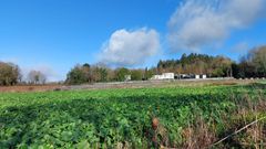 Vista de Viladonga (Castro de Rei), donde la parcelaria ha dejado fuera zonas cercanas al castro.