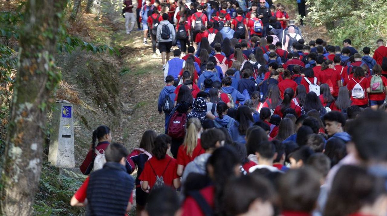 Cientos de estudiantes cambian por un día las clases por el Camino de ...