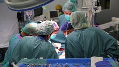 El equipo que particip� en el trasplante