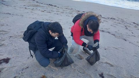 Un par de voluntarios, recogiendo p�lets este domingo en la playa del Orz�n