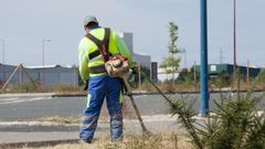 Centenares de guantes de pl�stico, sembrados en el parque de As G�ndaras
