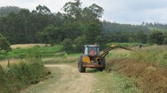 Trabajos de limpieza y desbroce en a�os anteriores 