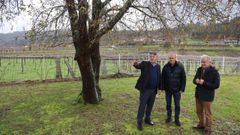 La bodega contin� su expasi�n gracias a una ayuda de 73.000 euros