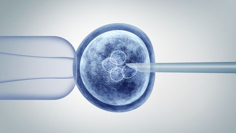 Un grave error en una reproducci�n asistida pone en apuros al Servicio Andaluz de Salud