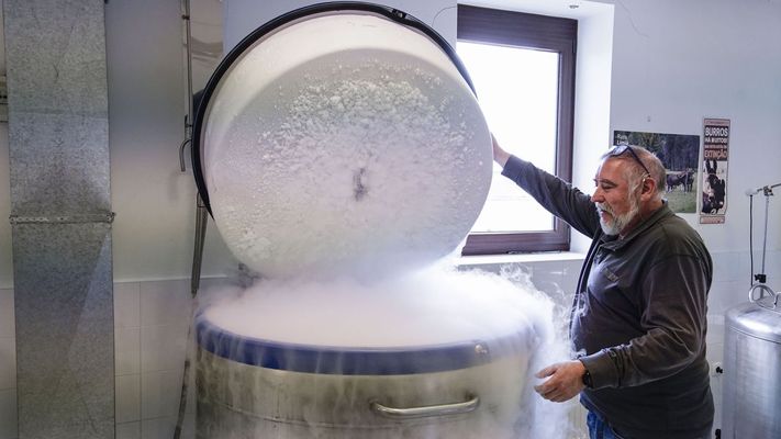 Centro zoogen&eacute;tico Pazo de Fontefiz para la reproducci&oacute;n por inseminaci&oacute;n de las razas aut&oacute;ctonas