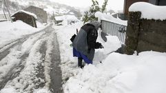 Un manto blanco cubre las monta�as de Galicia