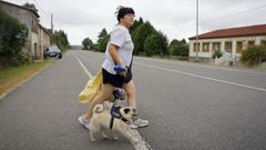 M�s de 30 kil�metros sin pasos de cebra