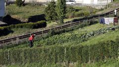 Un vecino trabaja su huerto al lado de la v�a del tren
