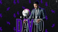 David Villa
