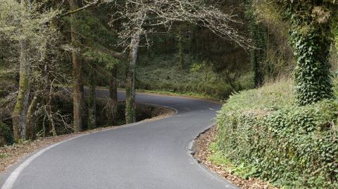 Zona de la carretera en la que se va a actuar