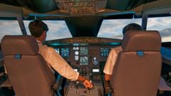 Piloto de aviaci�n