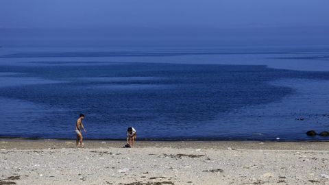 La playa canina de Bens, A Coru�a
