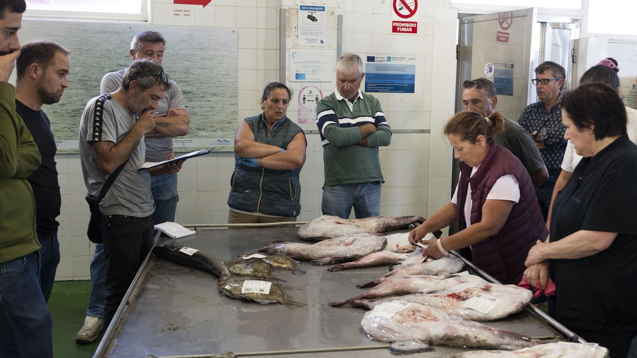 La puja diurna de pescado regresó a Laxe: «Primeiro asalto cumprido»