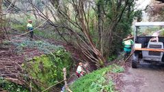 Limpieza en tramos interurbanos de dos r�os de Bueu, en los lugares de Trasouto y O Valado