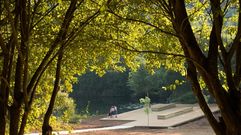 Parque do Lago