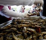 Intervenci�n revis� los gastos de la Festa da Troita.
