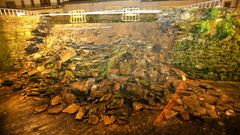 Unos seis metros se vinieron abajo