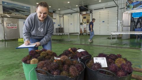 Venta de erizo en la lonja de Laxe con Carmen Villar.