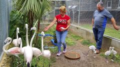 Jos� Carlos y su mujer Rosa cuidan de las aves en su propiedad