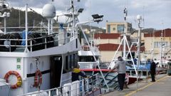 Barcos de litoral y de Gran Sol, como estos atracados en Burela, se veran afectados por la prohibicin de la pesca con artes de fondo que ultima la UE