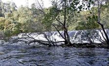 El elevado caudal se aprecia en los saltos del r�o, como en la presa de Bora, en la imagen.
