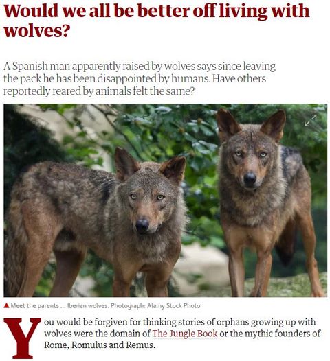 Captura de la noticia publicada por The Guardian en su edición digital este miércoles 11 de abril