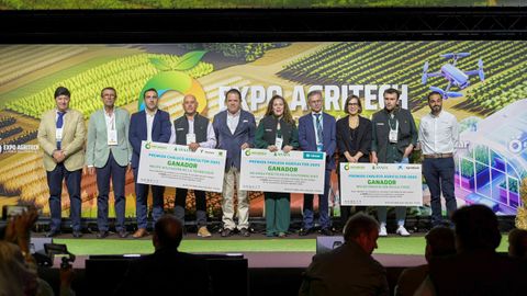 Entrega de una edici&oacute;n anterior de los premios en M&aacute;laga