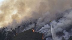 Vista del incendio forestal en Grado