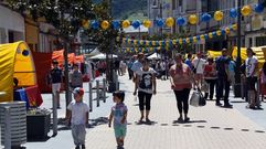 El Concello de A R�a quiere dinamizar el comercio local.