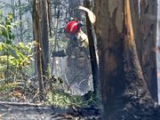 Las brigadas tuvieron que atravesar un terreno escapado y de bosque. 