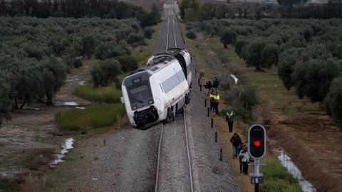 21 heridos, dos de ellos graves, al descarrilar un tren que cubr�a la ruta M�laga-Sevilla