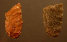 Puntas de s�lex (izquierda) y cuarcita halladas en Valverde.