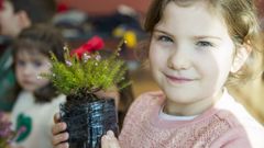 Paz, convivencia y medio ambiente en el CRA Os Remu��os: las im�genes