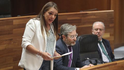 La portavoz de Vox en la Junta, Carolina Lpez