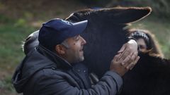 Galer�a de fotos de una sesi�n terap�utica con los burros de la asociaci�n Limisi